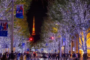 ホリデーブルース（クリスマス・お正月）の孤独感を軽減する