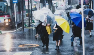 台風シーズンの孤立不安を軽減：メンタルヘルスを守る実践ガイド
