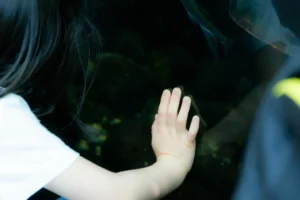 家族からの虐待の記憶で心が重くなった時のトラウマの癒し方