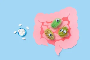 トラウマ体験の恐怖を腸内細菌が記憶：プロバイオティクスで治療